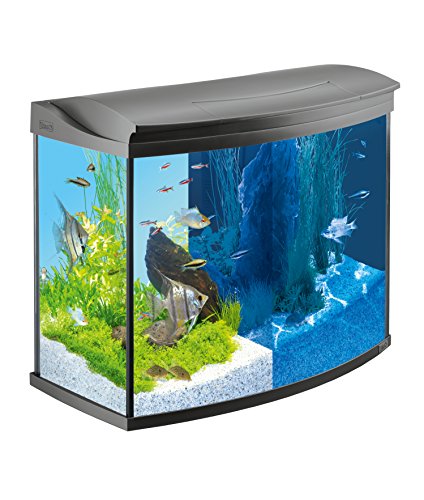 Tetra AquaArt Evolution Line LED Aquarium-Komplett-Set 130 L (inklusive...